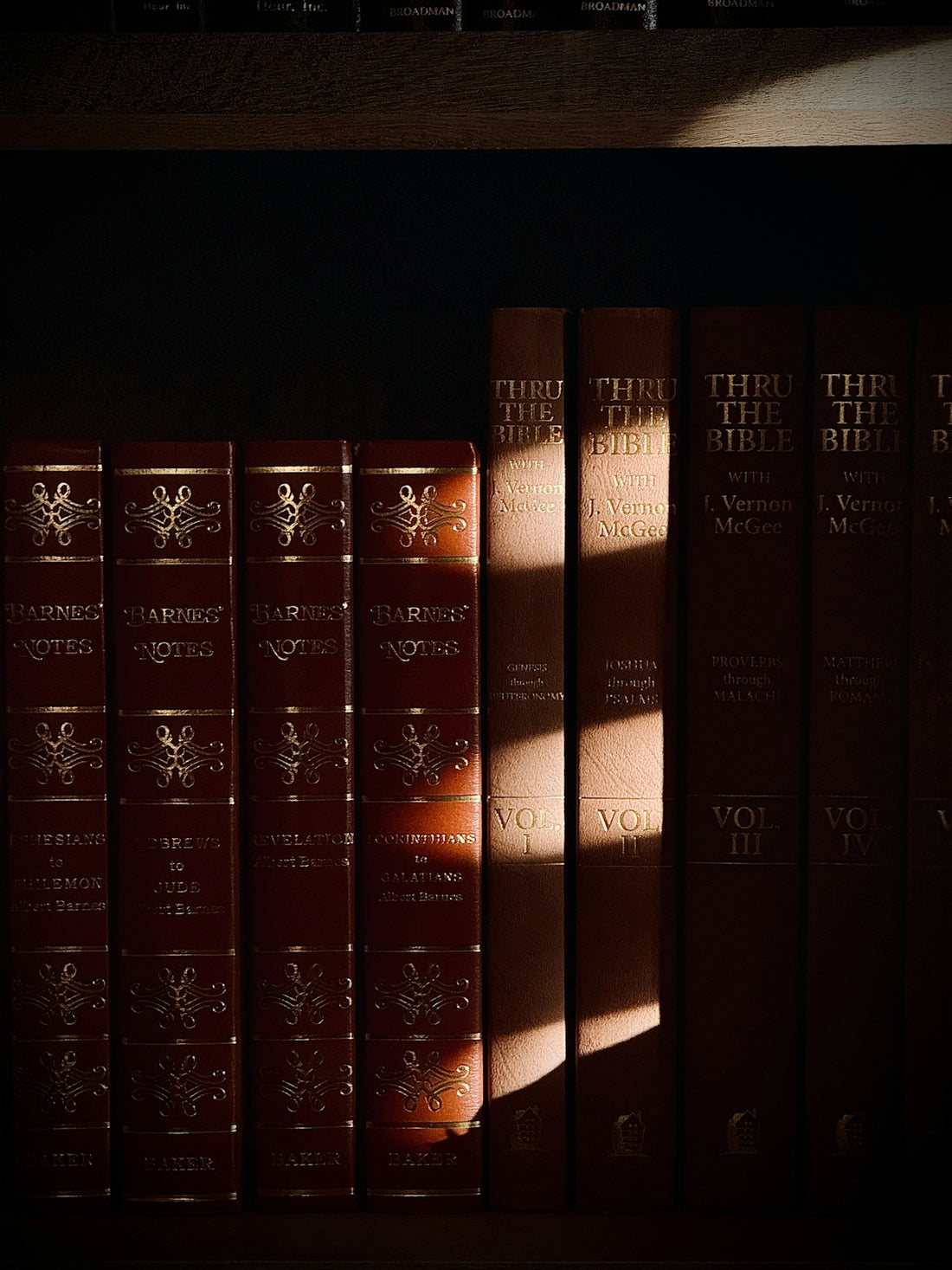 Row of leather-bound books on a shelf.