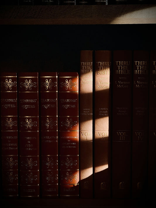 Row of leather-bound books on a shelf.
